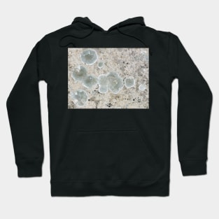 Lichen pattern Hoodie